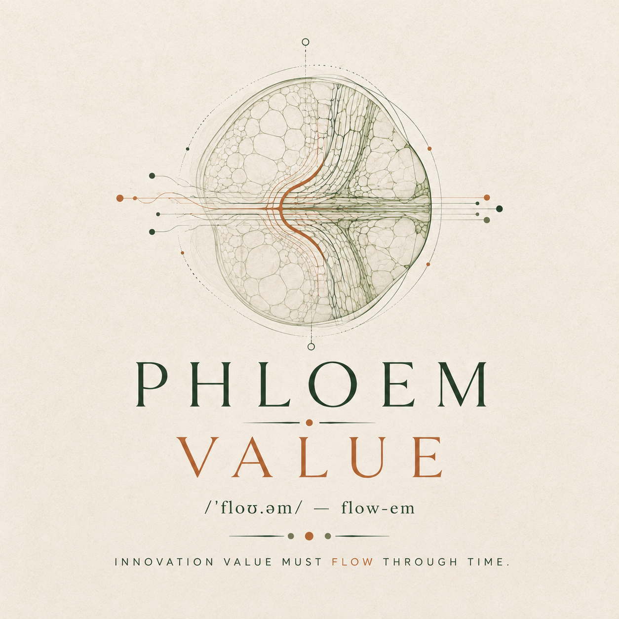 Phloem Value — innovation value must flow through time
